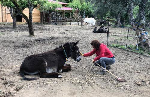 Quinta do Ragal - Photo 70