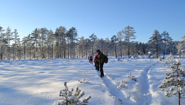 Contemplando as paisagens nevadas de Tallinn