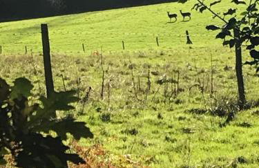 Greatwood Shepherds Hut - Foto 26