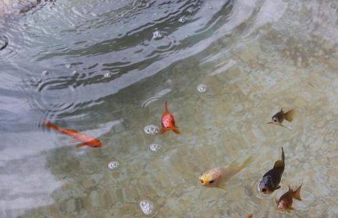 Stunning Home In Gologoricki Dol - Foto 24