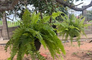 Chalés do Abraão - Foto 49