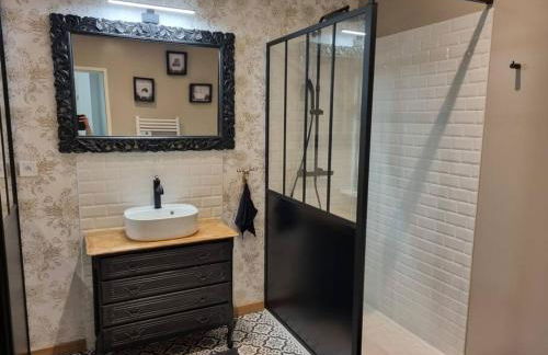 proche chateaux et zoo de beauval: gîte de sologne - Foto 11