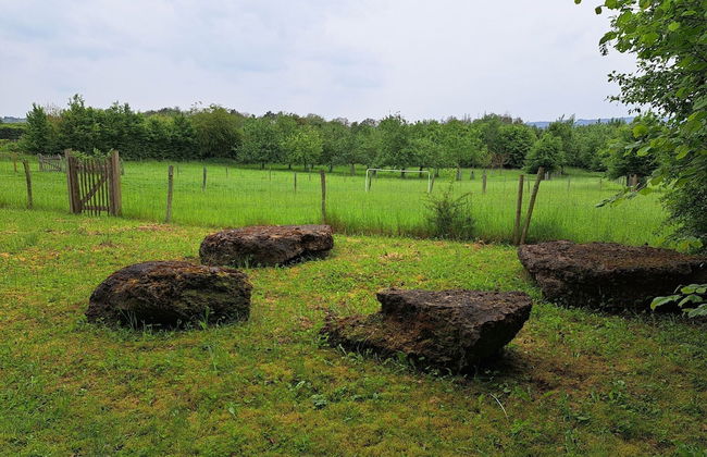 Holiday Home Viroinval for Seven Person - Foto 34