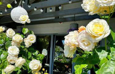 Apartament Różany - Foto 18