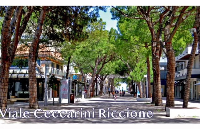 La Valle Dei Caprioli - B&B - Foto 60