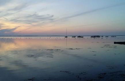 Ferienhaus Esbjerg - Foto 27