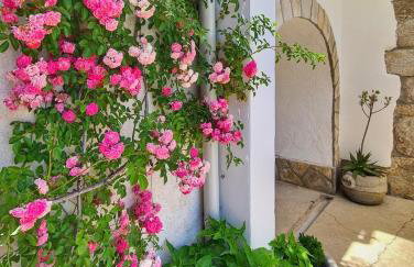 Apartments Sveti Ivan - Foto 7