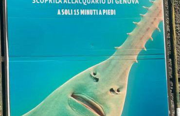 Casa Nina Carignano - Foto 3