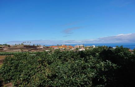 Finca Las Tapias, Casa Mañé - Foto 27