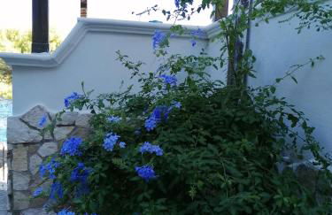 Villa Marigiosa Salento - Foto 38