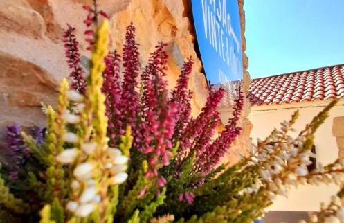 Casa Vinte & Cinco - Alojamento Local - Foto 5