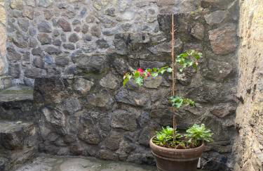 Rural House to take a Break, La Serreria 25 - Private garden - Foto 18