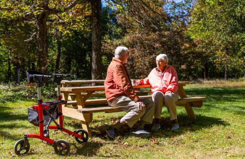 Love Ridge Mountain Lodging - Foto 38