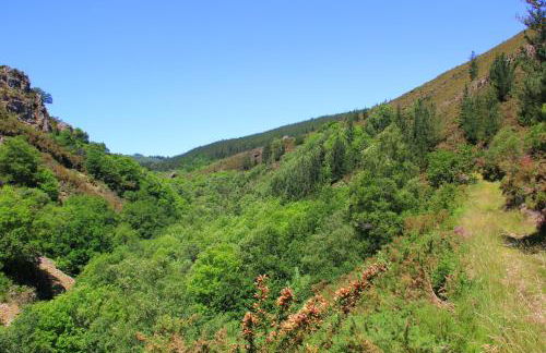 La Posada de Oscos - Foto 45