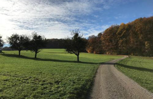 Ferienwohnung Sander - Foto 24