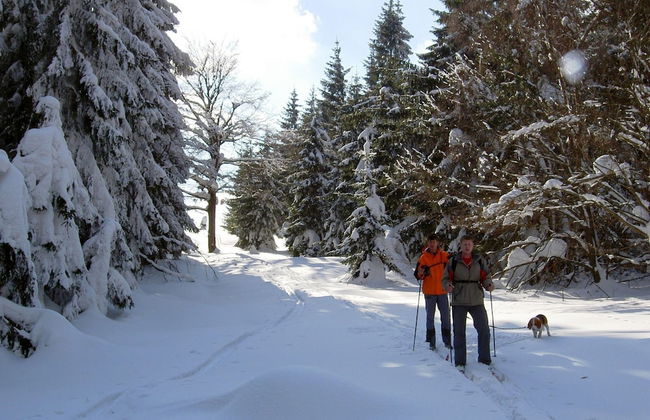 Authentic Farmhouse in Bozanov With Private Garden - Foto 32