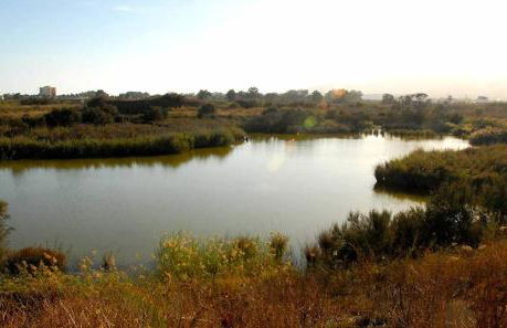 GUADALMARINA - Playa, Naturaleza y Ciudad - Foto 21