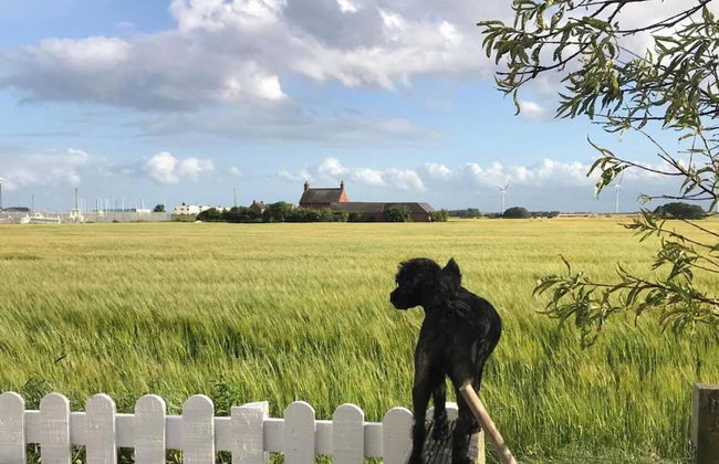 Dog Friendly Bed & Bowl Beach Chalet - Foto 5