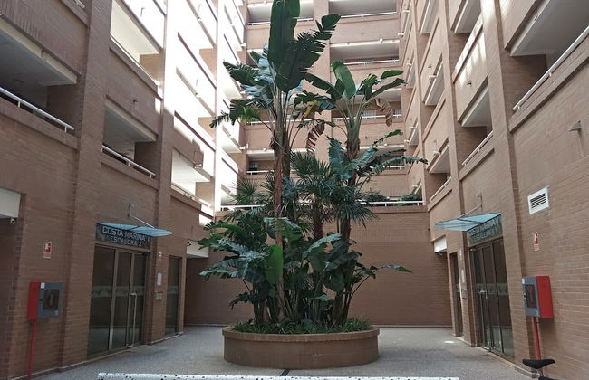 Acv - Costa Marina I-1ª Línea Planta 1 Sur - Foto 13