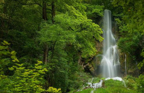 Wohlfühlwohnung im Erdgeschoss - Foto 8