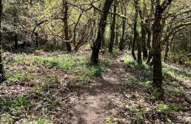 The Chaff House Country Cottage - Foto 42