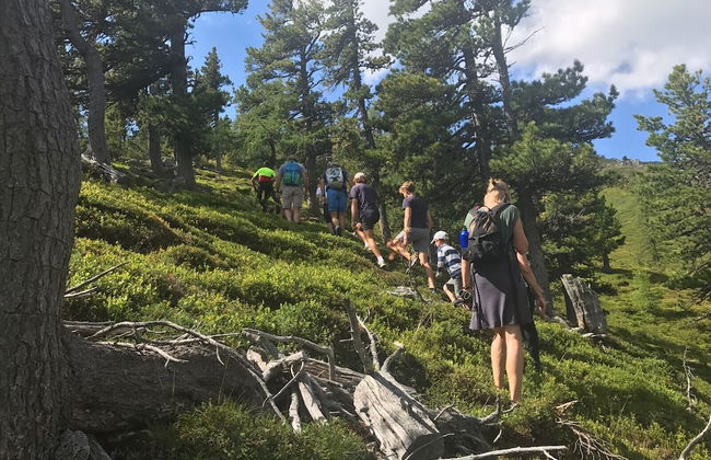 Chaletdorf Fanningberg - Foto 48