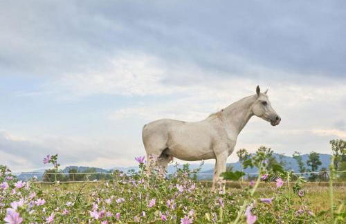 Torre d'en Bru - Photo 23