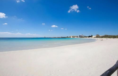 Villa Tramontana 30 Metri Dal Mare - Foto 30