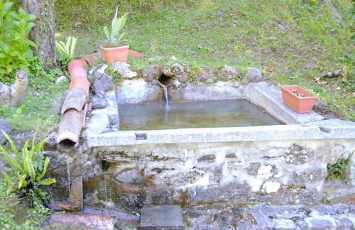 Casa Vacanze IL BOSCACCIO "Casa Serena" - Foto 17