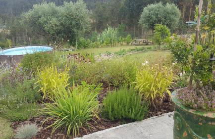 Casa Limonina - Foto 47