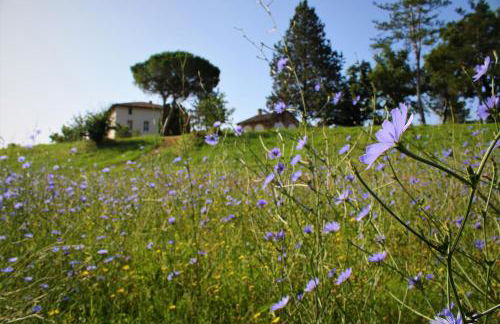 Opera d'Oro - Foto 7