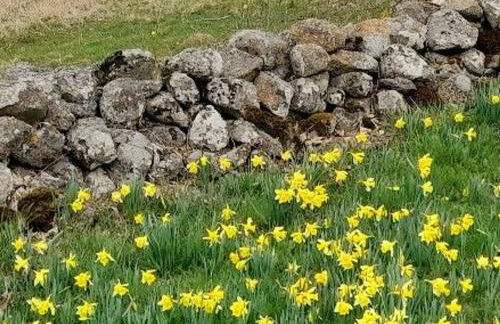Gîte rénové pour 4 pers. avec accueil équin, Saint-Front - FR-1-582-538 - Foto 27