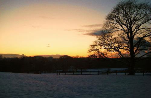 David's Organic Farm Wales - Foto 27