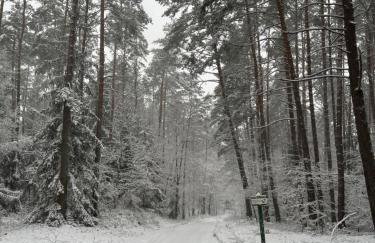 APARTAMENT CENTRUM - Foto 66