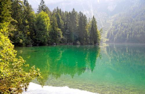 Agritur Le Pergolette - Foto 37