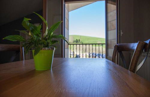 Endaneta Berri - Photo 17