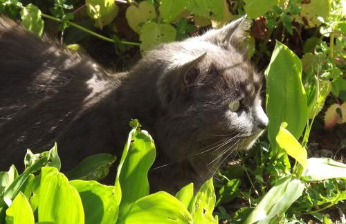 Appart'hotel Maison Saint Michel - Photo 28