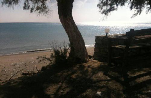 Mini Villas Green - Foto 25