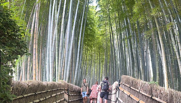 Tour por el bosque de bambú y los templos de Arashiyama - Foto 4