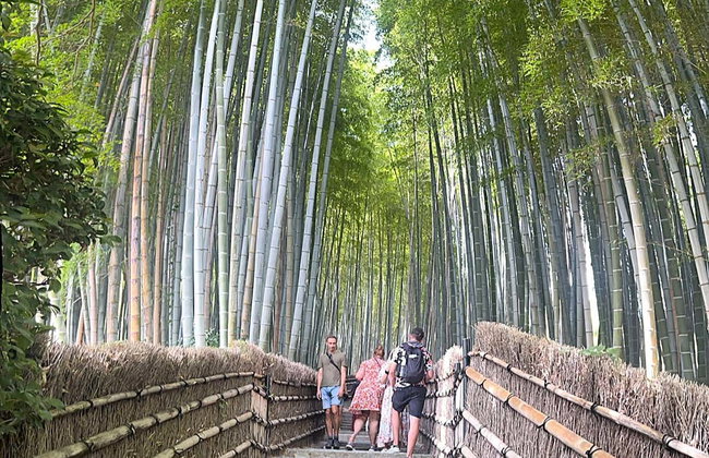 Visite guidée d'Arashiyama et sa forêt de bambous - Photo 4