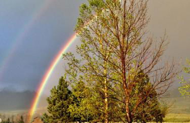 Pine Creek Cabin Livingston Montana - Foto 49