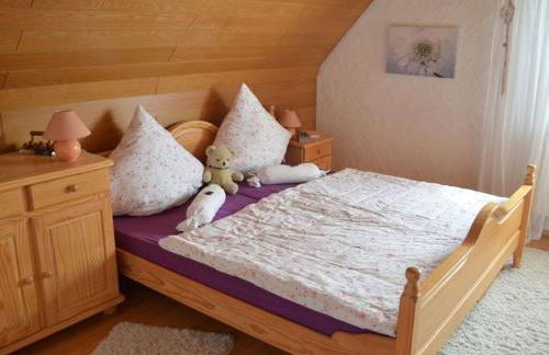 apartment Haus Renate Palatinate Forest - Foto 7