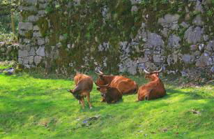 Casa Da Rocha - Foto 67