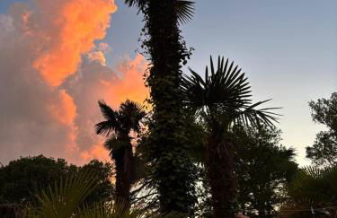 Les palmiers de Valence - Foto 14