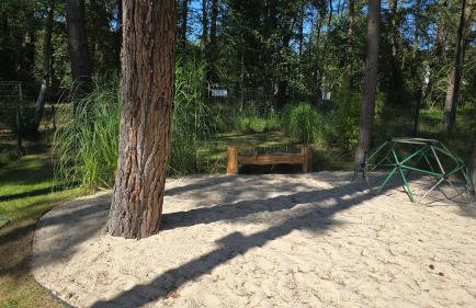 Daglezji 170 - Foto 18