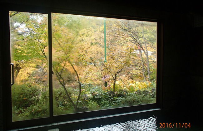 Miyori Furusato Taikenmura - Foto 40