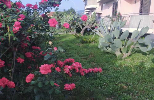 aranceto dell'Etna - Foto 20