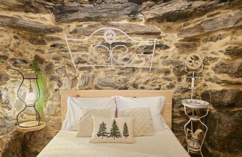 Cardenha das Formiguinhas - Foto 73