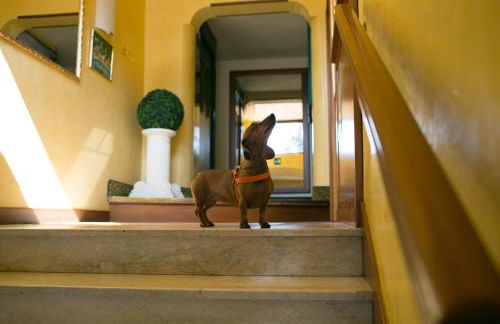 Rex Hotel Residence - Foto 37