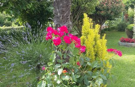 Villa Ivana - Photo 48